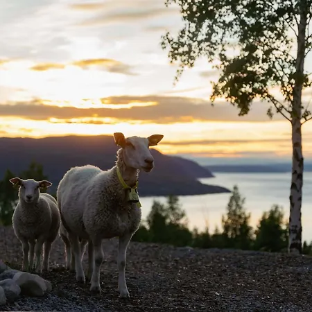 Fugleredet 4 - Tv-Designhytte - Mjosa-Utsikt - 30 Min Osl 3* Eina