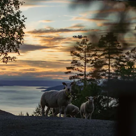 Fugleredet 4 - Tv-Designhytte - Mjosa-Utsikt - 30 Min Osl 3*